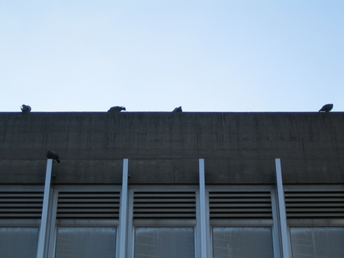 blog