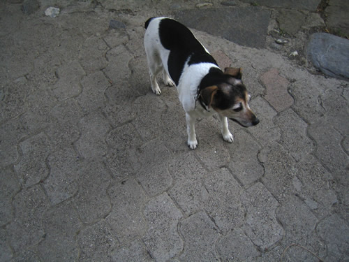 blog