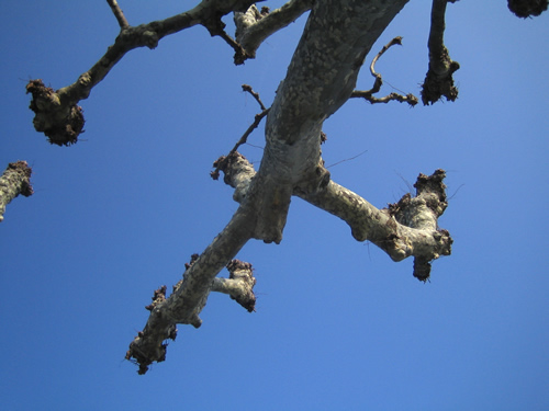 blog