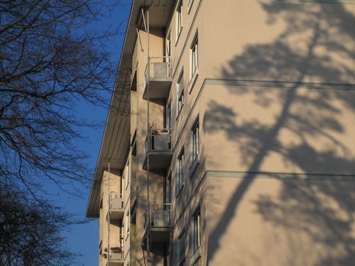 blog