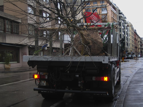 blog