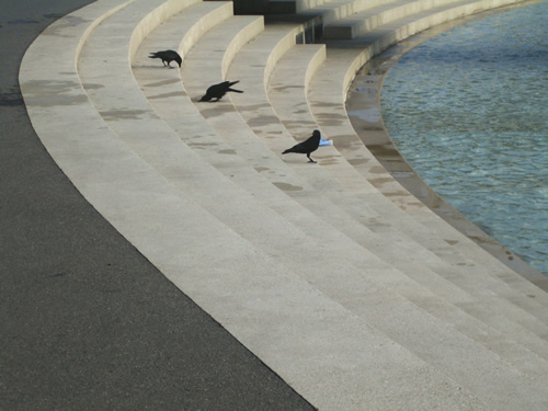 blog