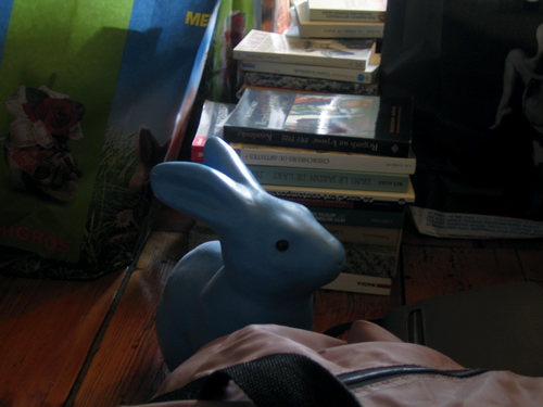 blog