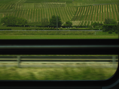 blog