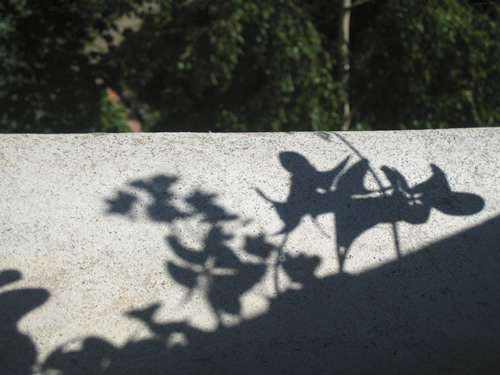 blog