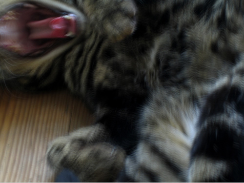 blog