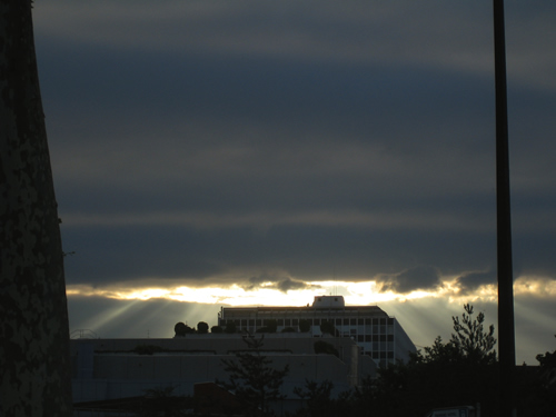 blog