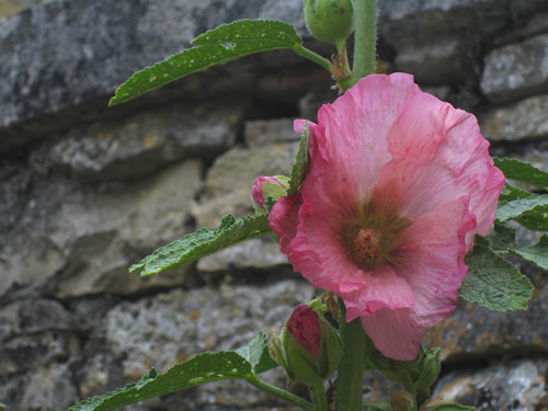 blog
