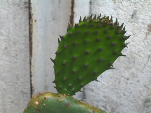blog