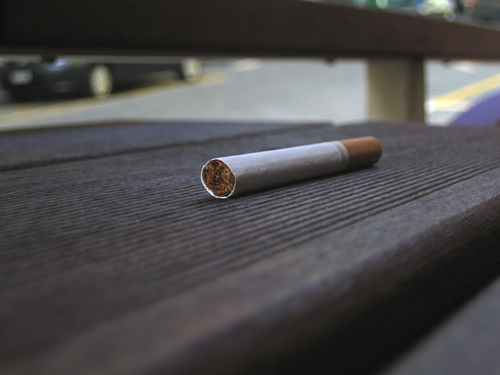 blog
