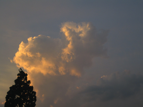blog