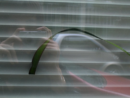 blog