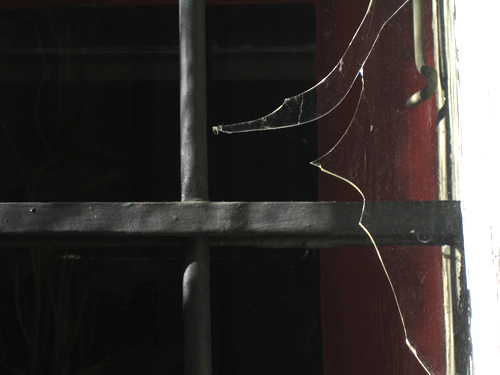 blog