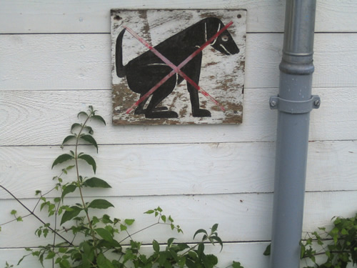 blog