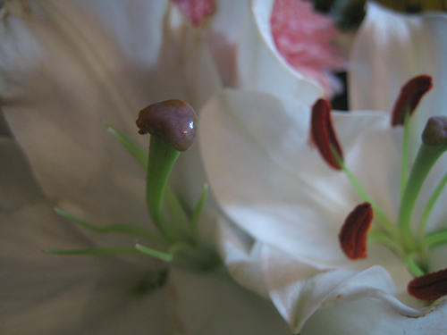 blog