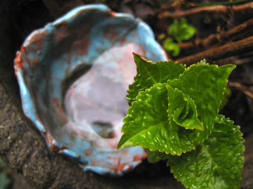 blog