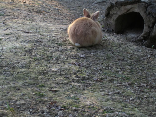 blog