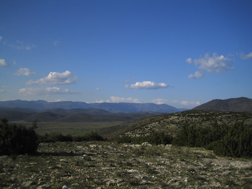 blog