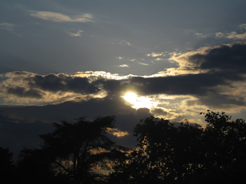blog