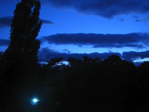 blog