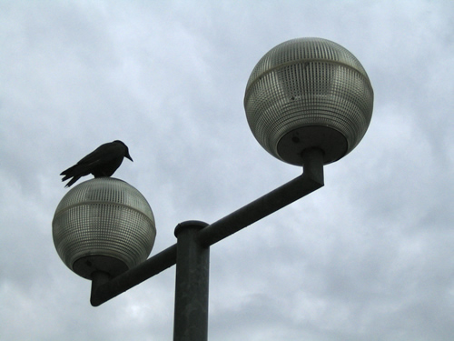 blog