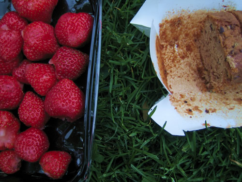 blog