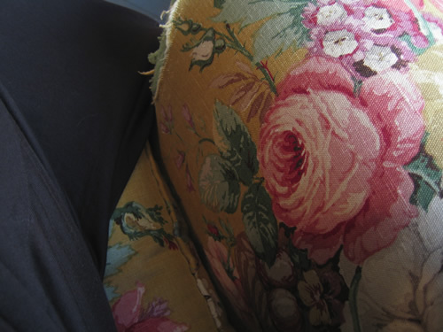blog