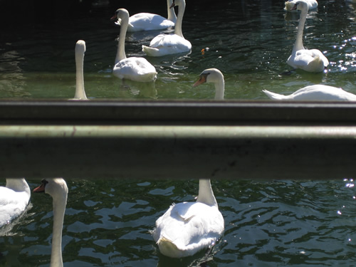 blog