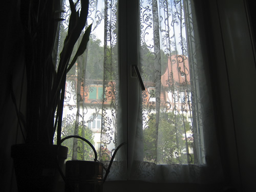 blog