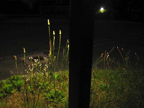 blog