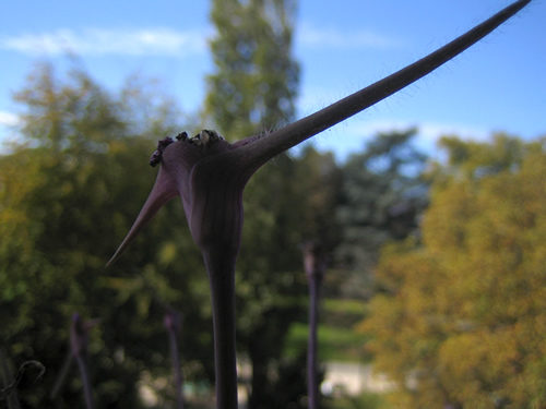 blog