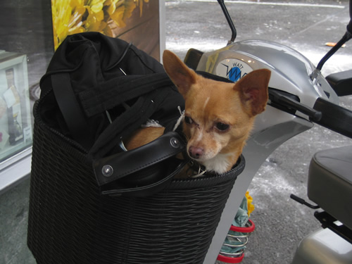 blog