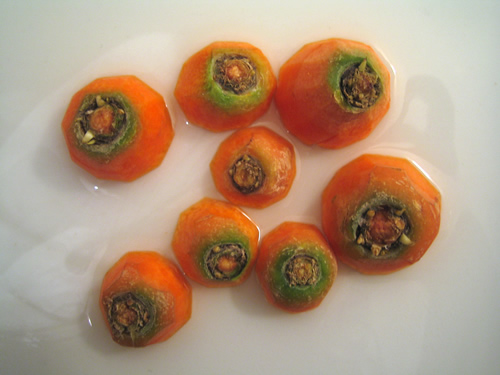 blog