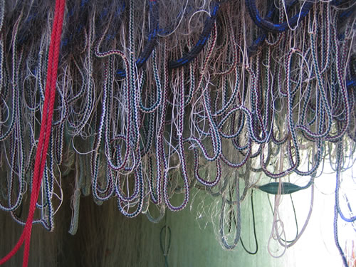blog
