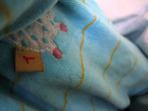 blog