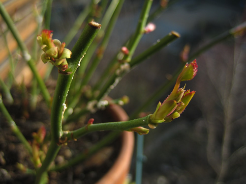 blog