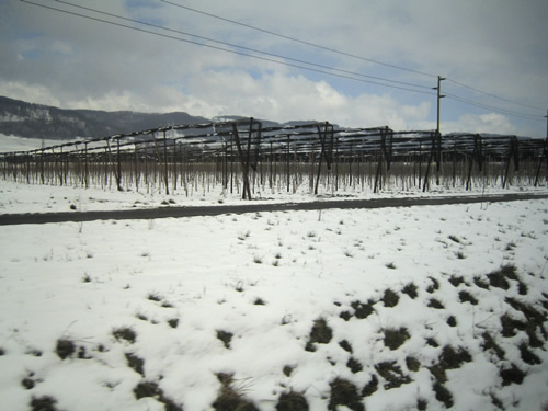 blog