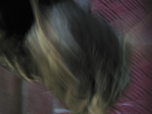 blog