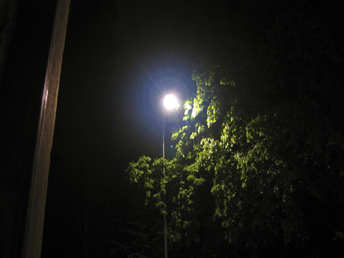 blog