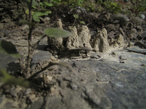 blog