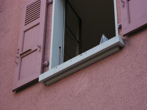 blog