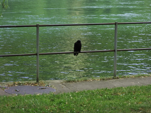 blog