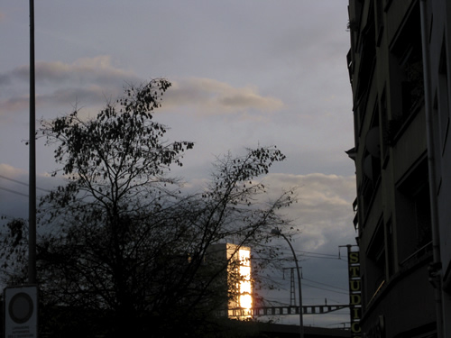 blog