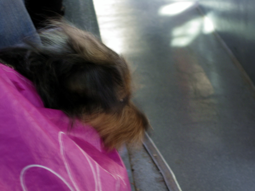 blog