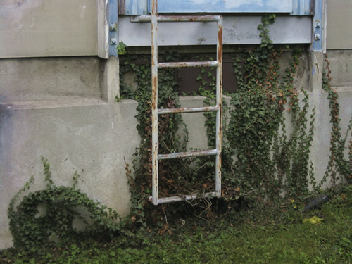 blog