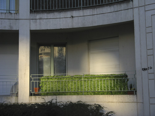 blog