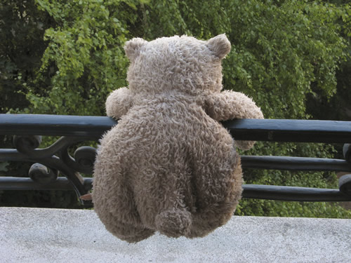 blog
