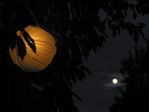 blog