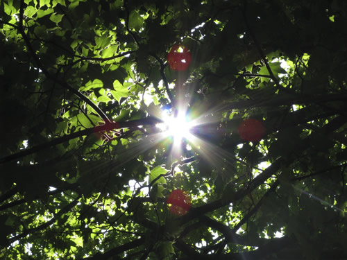 blog