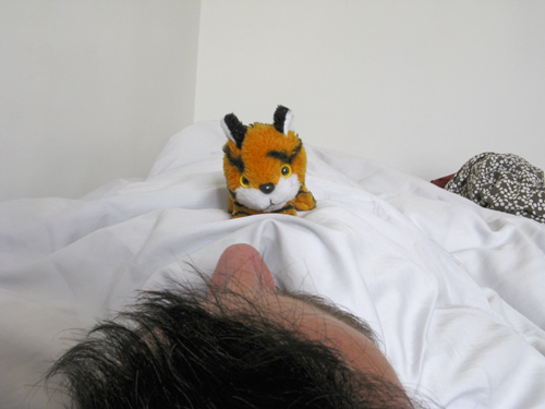 blog